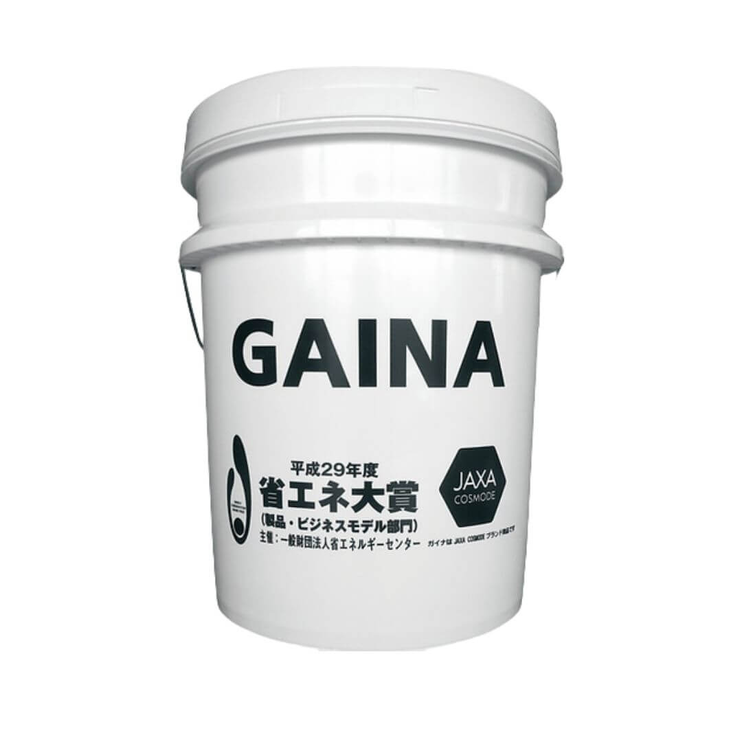 Sơn Gaina Japan 1 Son Gaina